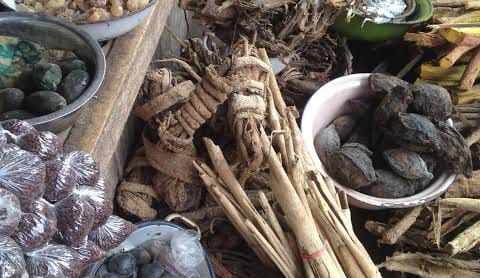 MAMAJOY  [+27764410726]. Namibia & Swaziland ^ SANGOMA / TRADITIONAL HEALER AND A SPIRITUAL HEALER in  Zimbabwe, Lesotho, Welkom, Ficksburg,  Zeerust,  Johannesburg,  Cosmo City,  Midrand,  Randfontein,  Kwamhlanga,  Soshanguve,  Hammanskraal,  Bizana,  S