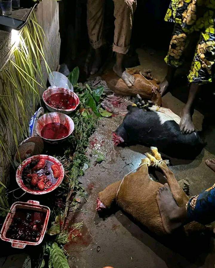 +27631898589 I NEED INSTANT VOODOO DEATH SPELL CASTER IN USA, CALIFORNIA, GEORGIA, ARIZONA  / VOODOO DOLL SPELLS IN LOS ANGELES, MICHIGAN, NASHVILLE, AUSTIN, CHARLESTON, MADISON, KILL SAMETIME REVENGE DEATH SPELLS CASTER IN LOUISIANA ATLANTA, WASHINGTON D